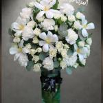 Mix white tulip